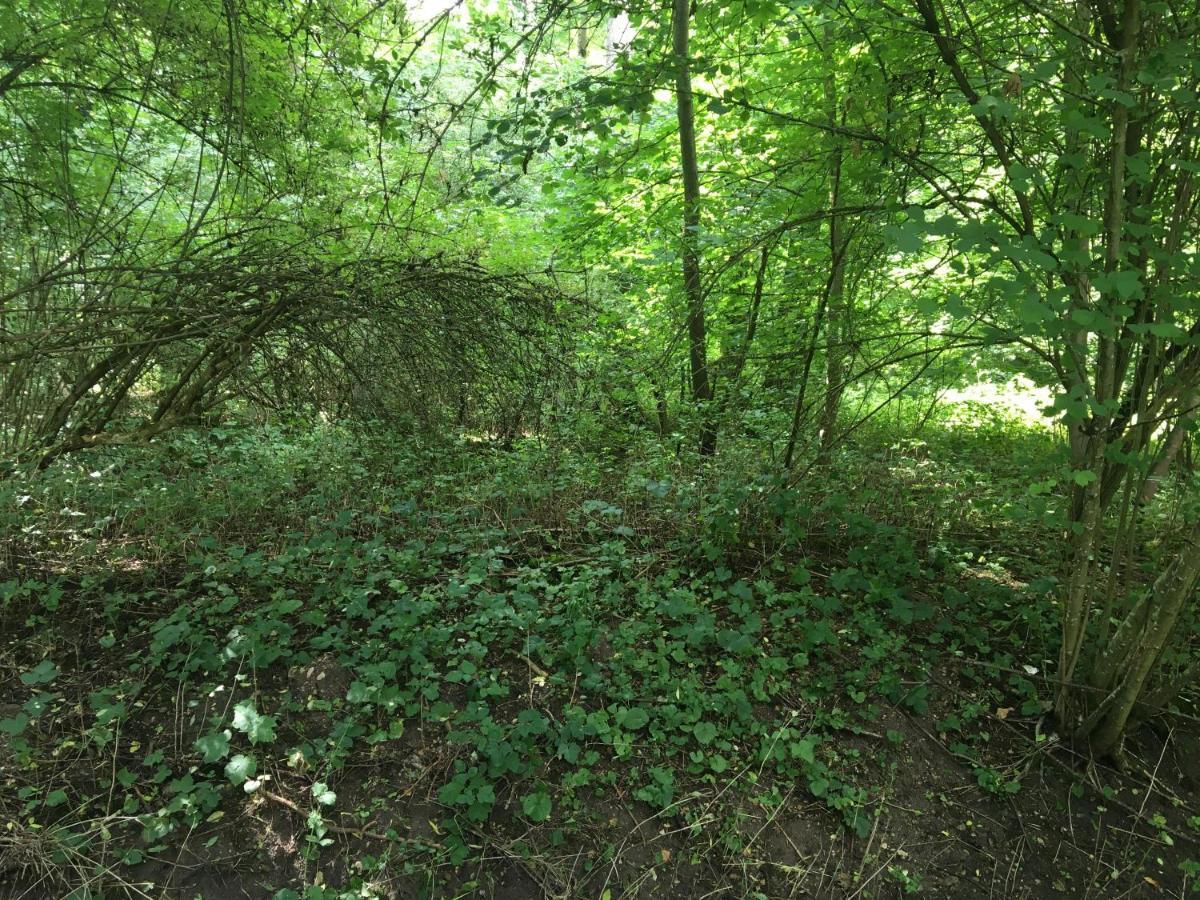 Un Coin De Foret Courmas Eksteriør bilde